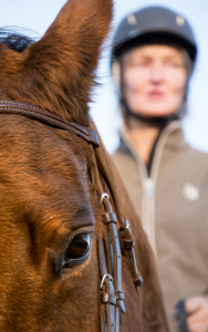 Centered Riding - Alona voor paard en mens - houding & zit centered-riding-margreet-rianka